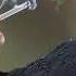 Girl Smoking Cigarette Petty Female Smoking Cigarette Video