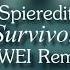 Survivor 2wei Remix Audio