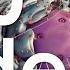 360 Guided Tour Of The Cell Demo