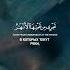 Сура 25 Аль Фуркан Чтец Мухаммад Тарик аят 10 ислам сунна истина сура коран религия пророк