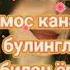 мана сиз излаган кушик