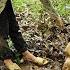 Bad Guy Harms Single Mother Tomorrow Is Discovered By Boy Who Takes Grass And Saves Her