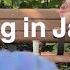 Unexpected Everyday Routine Daily Life Living In Japan Grocery Shopping Productive Morning