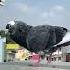 Pigeon Lover Kabutar Shorts Youtube Shorts Shorts Attitude Shokh Viral Br Pigeons Whatsapp