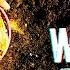 Twisted Rose World Is Burning Official Lyric Video