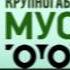 Лидер вывоз мусора Дзержинск