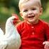 Babydance Chicken Babylaughing Monkey Funnyanimals Funnyvideo Viraldance 0149