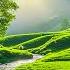 Listen To This Music And You Will Feel Better Gentle Music Calms The Nervous System And Pleases