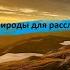 Лес полночь ручей и отдаленного грома