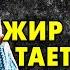 ОБ ЭТОМ НЕ ЗНАЮТ 99 ВРАЧЕТ ЖИР печени тает НОВЕЙШИЕ научное открытие