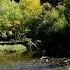 The River Murmurs And The Birds Sing For Your Relaxation Sound Sleep And Stress Relief 10 Hours