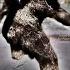 Bigfoot Proof 3 Ironclad Reasons The Patterson Gimlin Film Is Real
