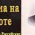 Антон Чехов Драма на охоте