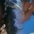 Oru Kola Kili Video Song HD Uzhaippali Tamil Movie Songs Rajinikanth Roja Ilayaraja
