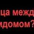 БДСМ для чайников 42 БДСМ И ФЕМДОМ в чем разница