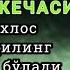 Меърож кечаси бу кечани ўтказиб юборманг