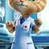 Dancing Persian Cat Doctor In A Cartoon Hospital