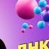 Тест на отцовство Что такое тест ДНК Вся ПРАВДА