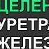 СТОП ДИСКОМФОРТУ Скрытая Энергия Бульбоуретральных Желез Очищение и Оздоровление