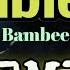 Bumblebee Bambee TeknoXBomb Remix DJ NoFace