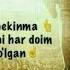 QAYDANAM BILSIN