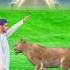 Ummi Inna Shorts Islamicshorts Shortvideo