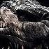 The Hobbit Smaug Tribute Rise