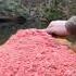 Burger Cooking Lavash Burgers On Natural Stone Shortsfeed Shorts Trending Youtubesearch