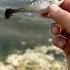 Anybody Have Any Luck With These Fishing Bass Bassfishing Fish Sportfishing Carp Catfish