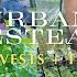 Urban Garden Tour Week 3 Harvesting Potatoes More GIVEAWAY WINNER ANNOUNCED Friend Is Here