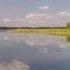 Беларусачка