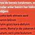 Ebru Gündeş Yaparım Bilirsin Speed Up Shorts