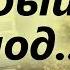 Резкие перемены Душевного Настроения Гнев Тёмный период Старец Фаддей Витовницкий