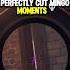 Perfectly Cut Mingo Moments