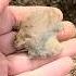 Heartbreaker Arrowheadhunting Artifacthunting Rockhounding Missouri