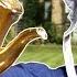It S Tea Time Marrying Mr Darcy Part 1 Let S Roll