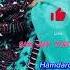Sam Jan Tahi Mohbat Hamdard Sasoli New Balochi Song Best Song 2023
