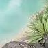 Beppu Jigoku Meguri Umi Jigoku 98 Celsius Japan Nature Writersinspiration Shorts