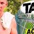 ТУРИСТЫ В ТАШКЕНТЕ МЕЧТАЮТ О ЭТИХ РАЙСКИХ МЕСТАХ ДЛЯ ПРОГУЛОК И КУПАНИЯ В СИЛЬНУЮ ЖАРУ