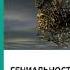 Аудиокнига Марк Леви Гениальность на заказ Легкий способ поиска нестандартных решений и идей