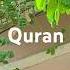 Quran Majeed