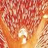 Awesome God Live
