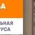 Как делают зимний сад панорамное остекление и фасадное остекление из деревянного бруса