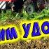 ПЕРЕВОЗИМ УДОБРЕНИЕ УДОБРЯЕМ ОГОРОД деревенские будни