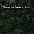 Instagramda Zo Rlari Jamshidbeknurdinboyev Trent 2023 Tiktok Trents Rek Reels Love Nature