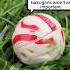 THE BAKUGAN THAT STARTED IT ALL 34