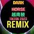 Dark Horse 越南鼓 RinV X VAnh Remix Tiktok 2024