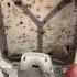 Get Rid Of Gnats Fruit Flies Mosquitoes In Your House