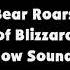 Snow Bear Roars Out A Blast Of Blizzard Wind And Snow SFX