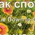 Мне так спокойно You Make Me Lie Down In Green Pastures PraiseTheLord Ru